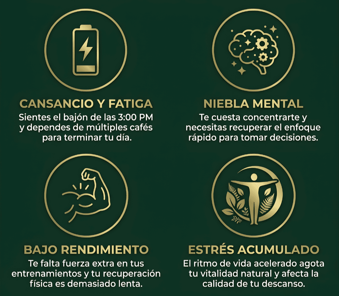Beneficios Shilajit Selecta
